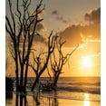 thumbnail image 3 of Driftwood Print Duvet Cover Set, Sea Theme Sunrise at the Beach Leafless Trees and Cloudy Sky Scenery Print, Decorative 3 Piece Bedding Set with 2 Pillow Shams, Queen Size, Orange, by Ambesonne, 3 of 3