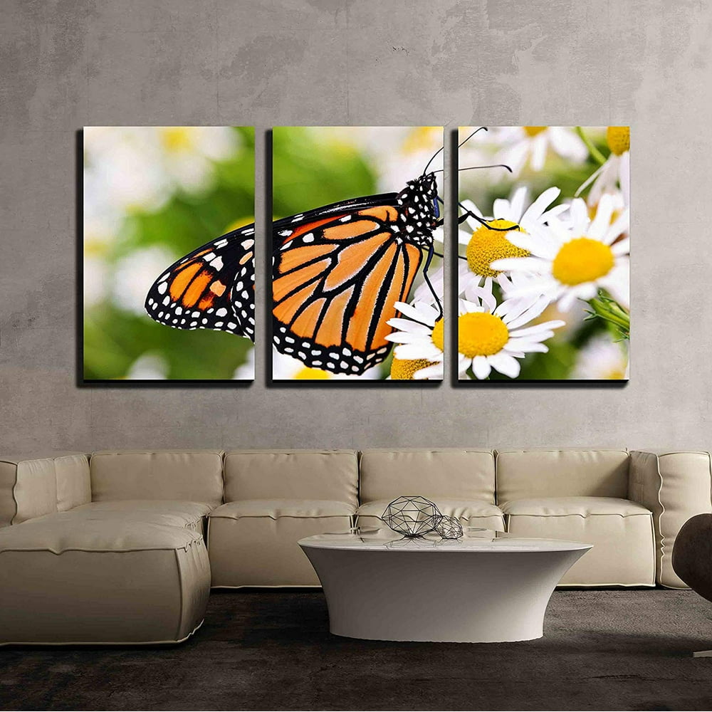 wall26 3 Piece Canvas Wall Art Colorful Monarch Butterfly Sitting