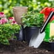 thumbnail image 3 of 2x Pala de Jardín, Herramienta de Jardinería de Hierro Resistente Y Duradera, Pala de Jardinería para Plantar, Desmalezar, Y Alisar El Suelo 2 piezas, 3 of 7