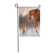 SIDONKU Red Horse and Dog Walking in The Field Winter Nova Scotia Duck Tolling Retriever Garden Flag Decorative Flag House Banner 12x18 inch
