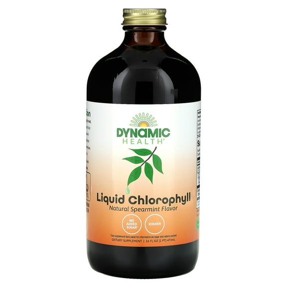 Dynamic Health Liquid Chlorophyll - 100 mg - 16 fl oz