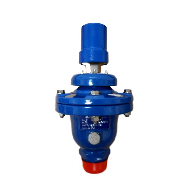 A.R.I. D060CHFT Combination Air Valve 2in NPT
