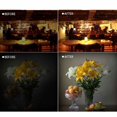 thumbnail image 3 of Luz de fotografía, luz de estudio de video LED ajustable 3200K/5400K con batería o fuente de alimentación USB, luz de relleno de cámara de temperatura de color para teléfono móvil o cámara DSLR Amonsee No, 3 of 5