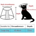 thumbnail image 2 of Pet Cone Dog Cat Neck Brace, 2 of 4