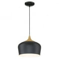thumbnail image 6 of Access Lighting Pendant in White with Wood Grain Color, 6 of 8