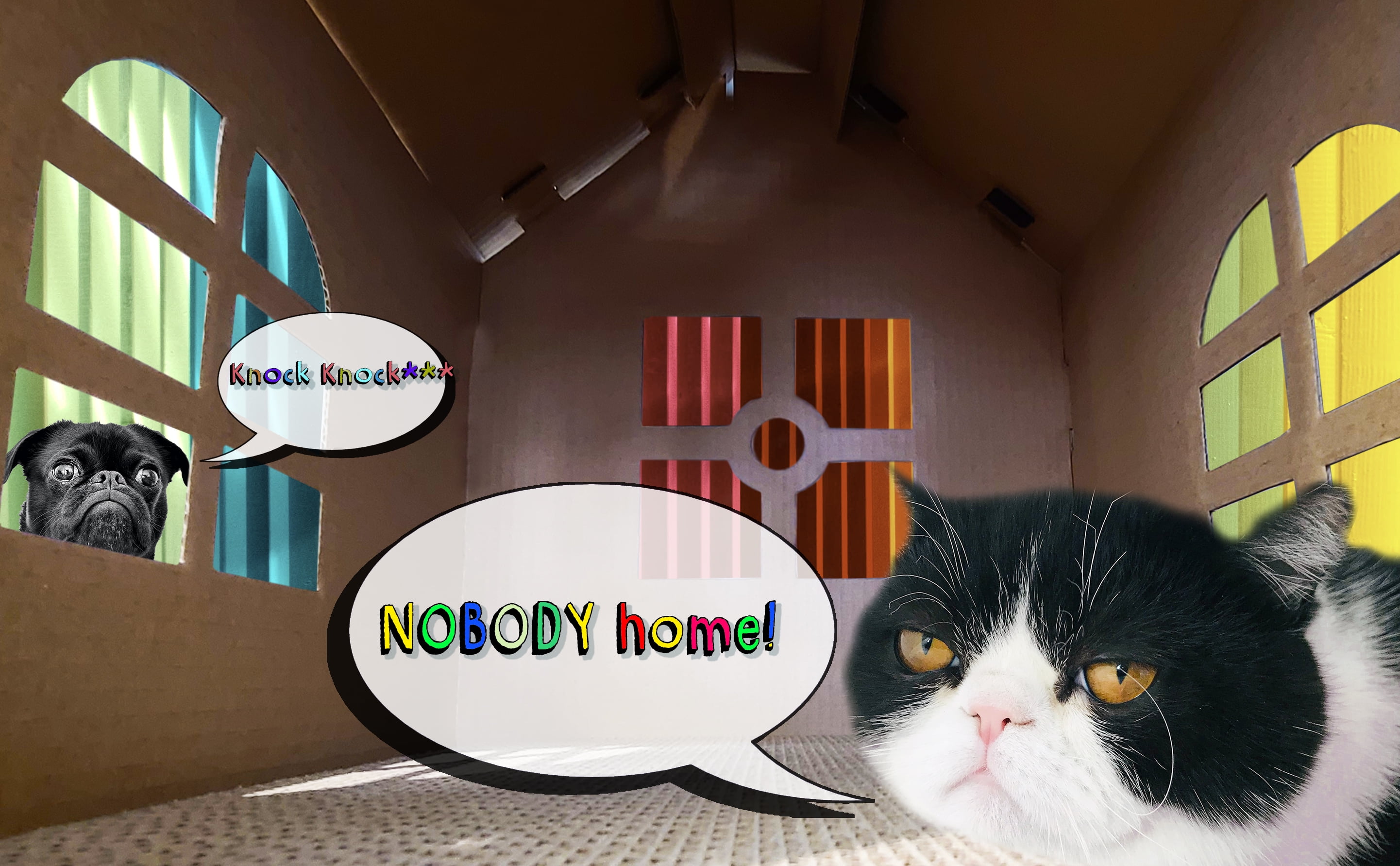 halloween scratch house cat scratcher