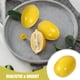 thumbnail image 4 of 20 piezas de limón Artificial, modelo de limón simulado, limón pequeño falso, limón de imitación, 4 of 6