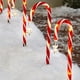 thumbnail image 1 of Lámpara 8 modos de luces de bastón de caramelo de Navidad de jardín de Navidad impermeable con estacas JShteea Para estrenar, 1 of 9