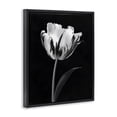 thumbnail image 3 of Stupell Industries Modern Flower Stark Black Black Framed Floater Canvas Wall Art, design by CAD Designs, 21 x 17, 3 of 9
