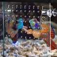 thumbnail image 2 of UNIFAMILY Fish Tank Divider 55 Gallon, Adjustable Aquarium Divider Kit with Suction Cups, Fish Tank Divider Clips for 55 Gallon Tank, Fish Tank Isolation Board Keep Fish from Fighting, 2 of 6