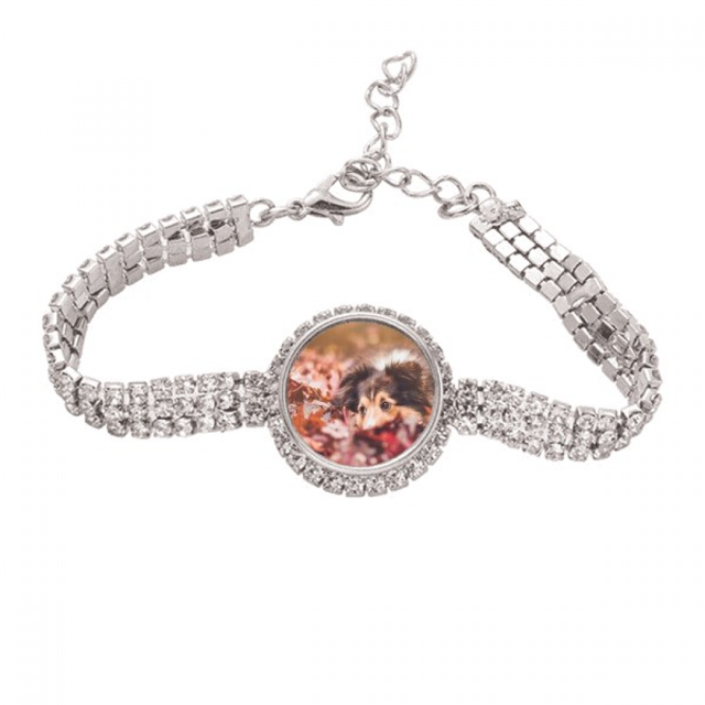 Perro animal de compañía leaf Foto Pulsera de tobillera de cadena de tenis, joyería de diamantes
