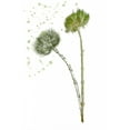 thumbnail image 2 of Wang, Melissa 17x24 White Modern Wood Framed Museum Art Print Titled - Botany Flower V, 2 of 4