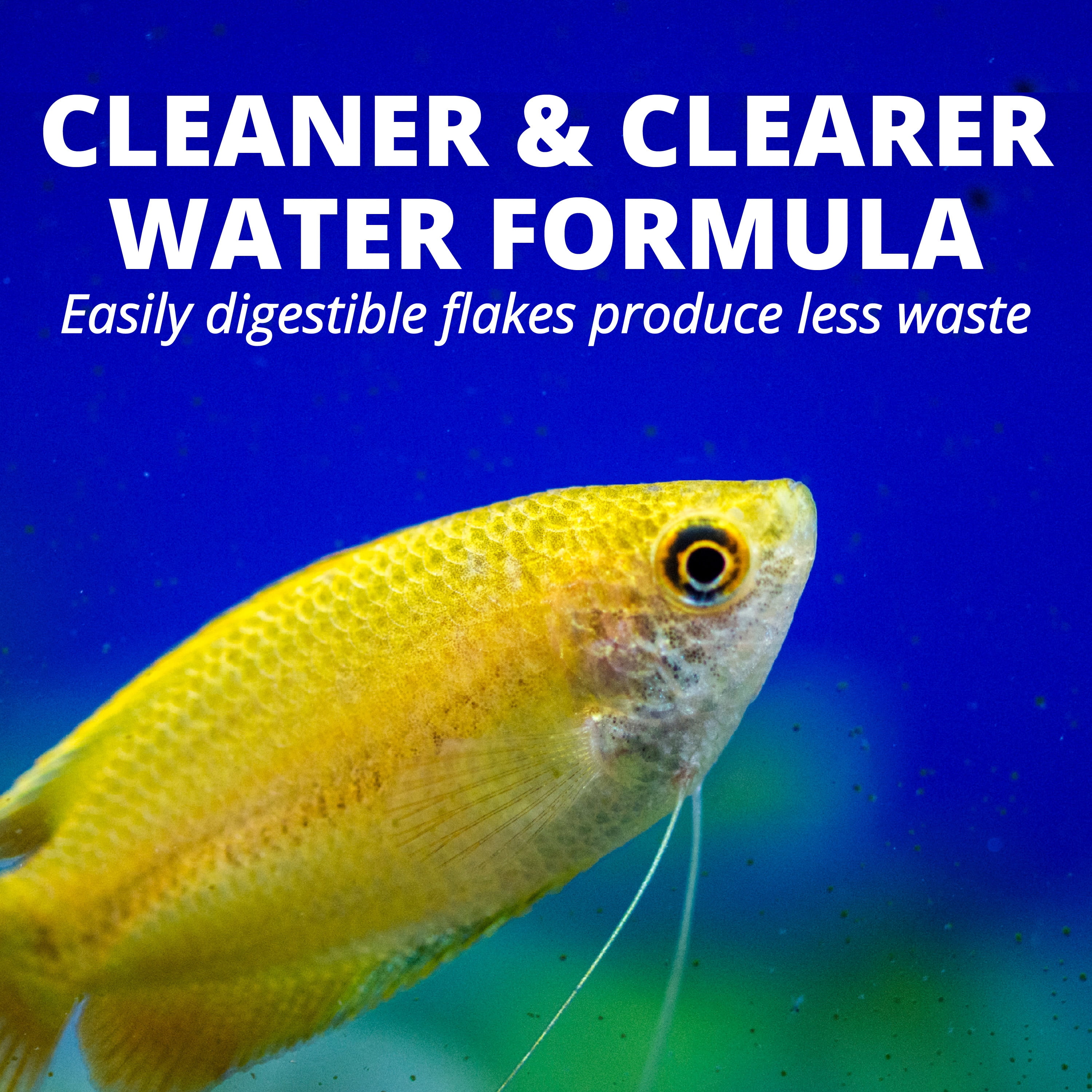Tetra Tropical Color Flakes Fish Food, Clear Water Advanced Formula, 7.06 oz
