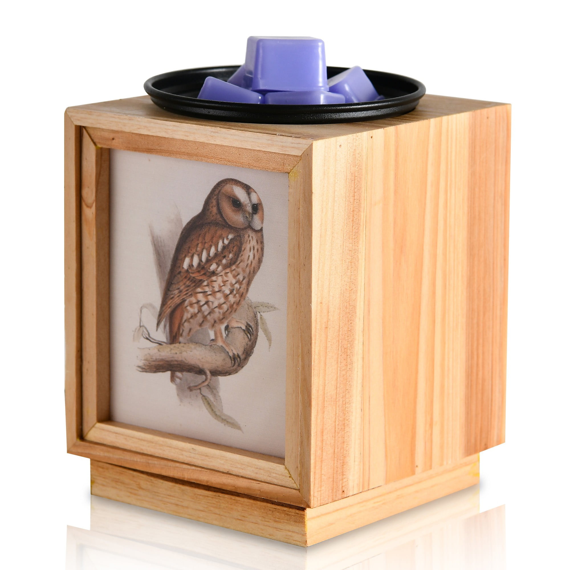 Electric Wax Melt Warmer for Scented Wax Fragrance Candle Burner for