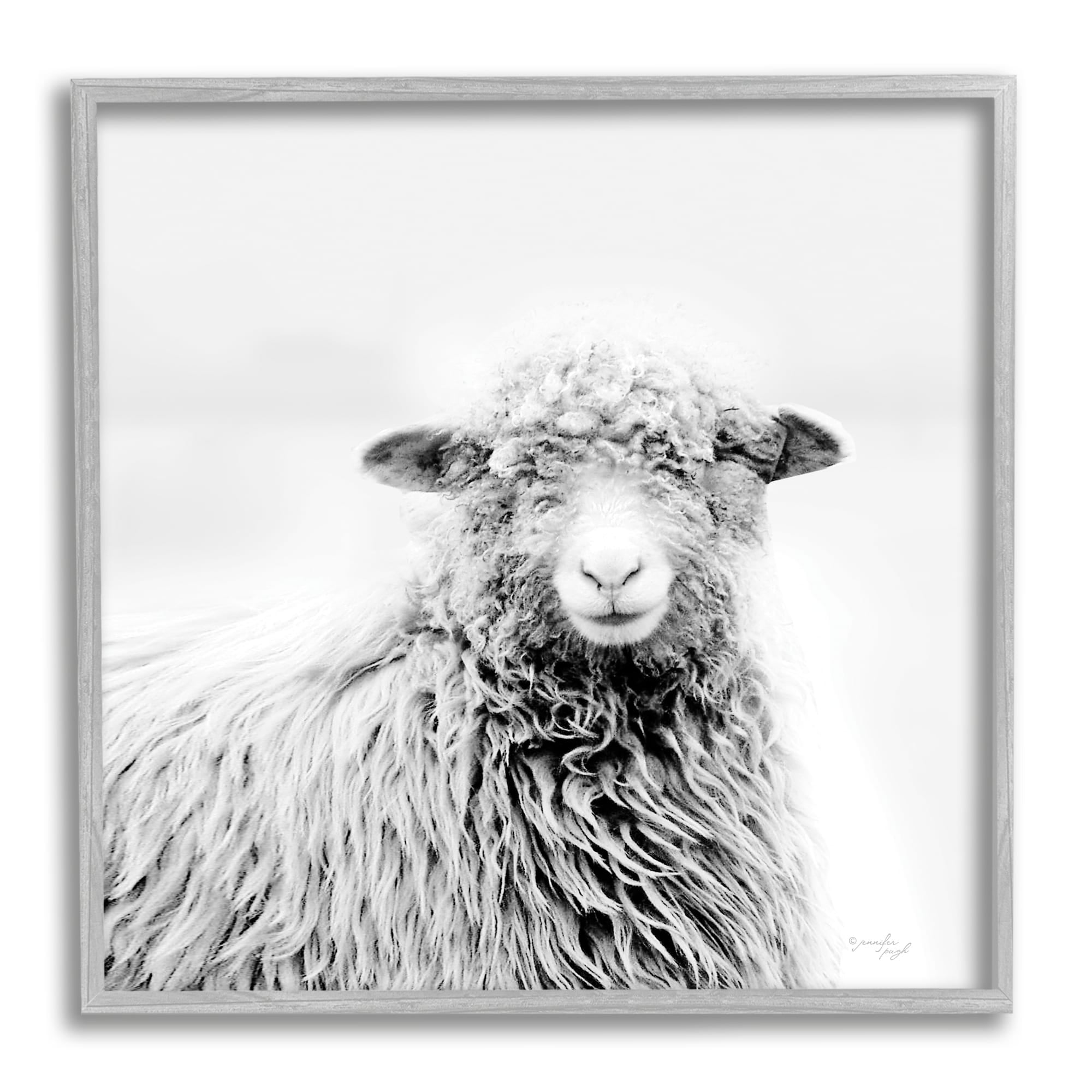 Stupell Industries Smiling Sheep Face Monochrome Farm Animal Portrait Photograph Gray Framed Art Print Wall Art, Design by Jennifer Pugh