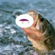 thumbnail image 2 of NO.10 Colorful Sinking 6.8cm/4g Bait Fishing Lure for Fishing Bait, 2 of 5