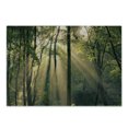 thumbnail image 1 of Forest Cutting Board, Morning Sunrays Through Trees Summertime Countryside Scenic View, Decorative Tempered Glass Cutting and Serving Board, Small Size, Green Beige Black, by Ambesonne, 1 of 1