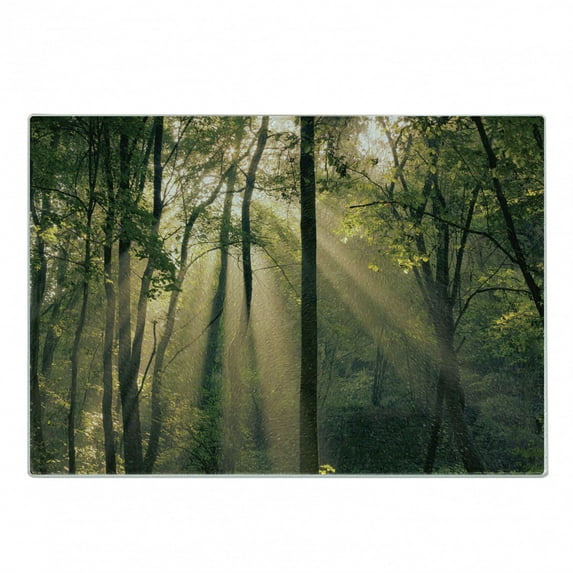 Forest Cutting Board, Morning Sunrays Through Trees Summertime Countryside Scenic View, Decorative Tempered Glass Cutting and Serving Board, Small Size, Green Beige Black, by Ambesonne