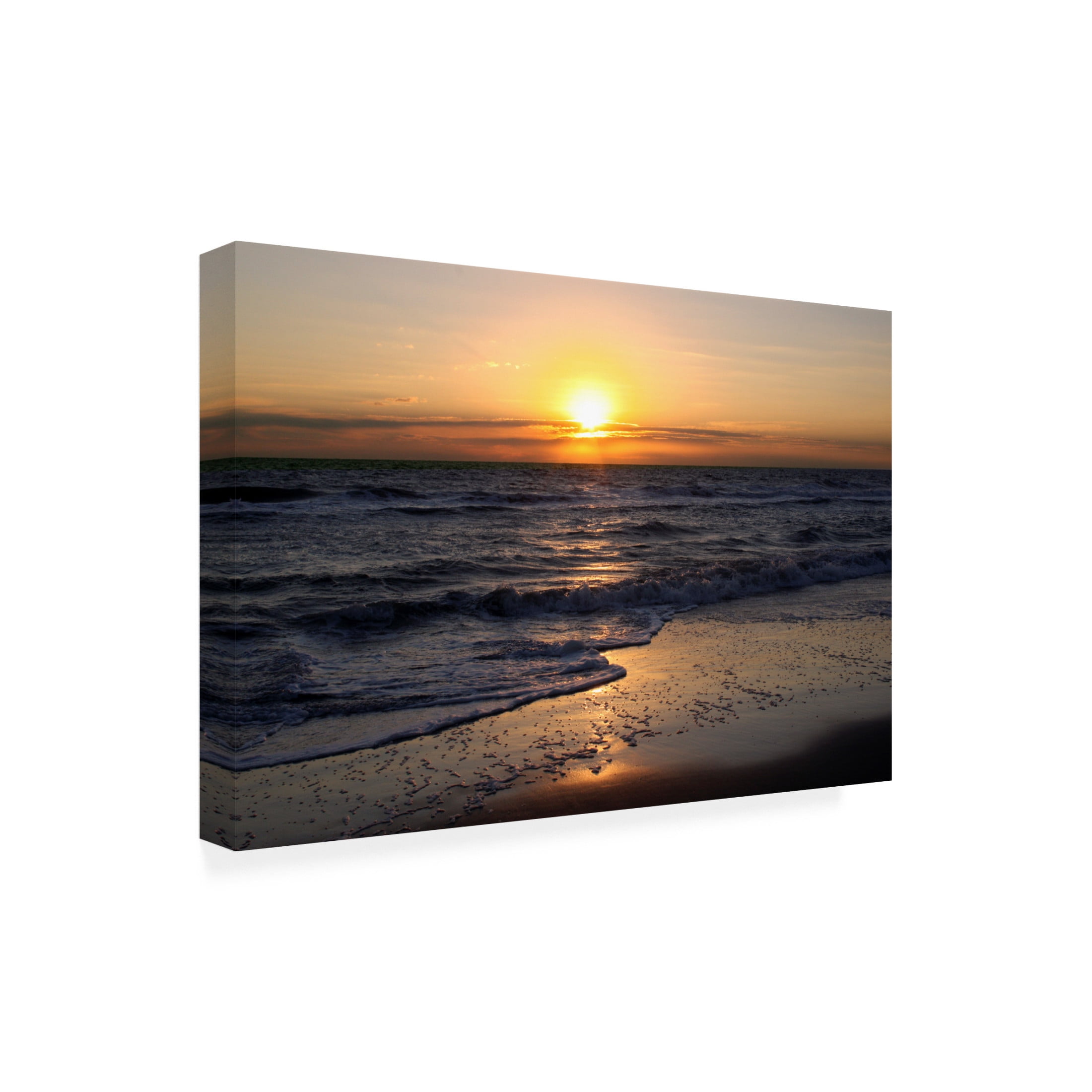 Canvas Wall Art - DANE 'Beaches 30' Wall Art for Living Room, Bedroom, or Office Décor by Trademark Fine Art - 24 x 16 Inches
