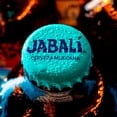 thumbnail image 3 of Cerveza Artesanal Ultra Salvajita de Jabal&iacute; 12 Pack Botella 330 ml, 3 of 7