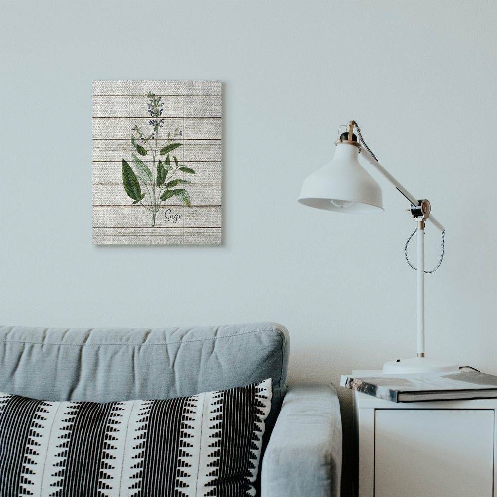 Stupell Industries Sage Vintage Herb Kitchen Dining Room Word Collage Design Super Canvas Wall Art by Kimberly Allen