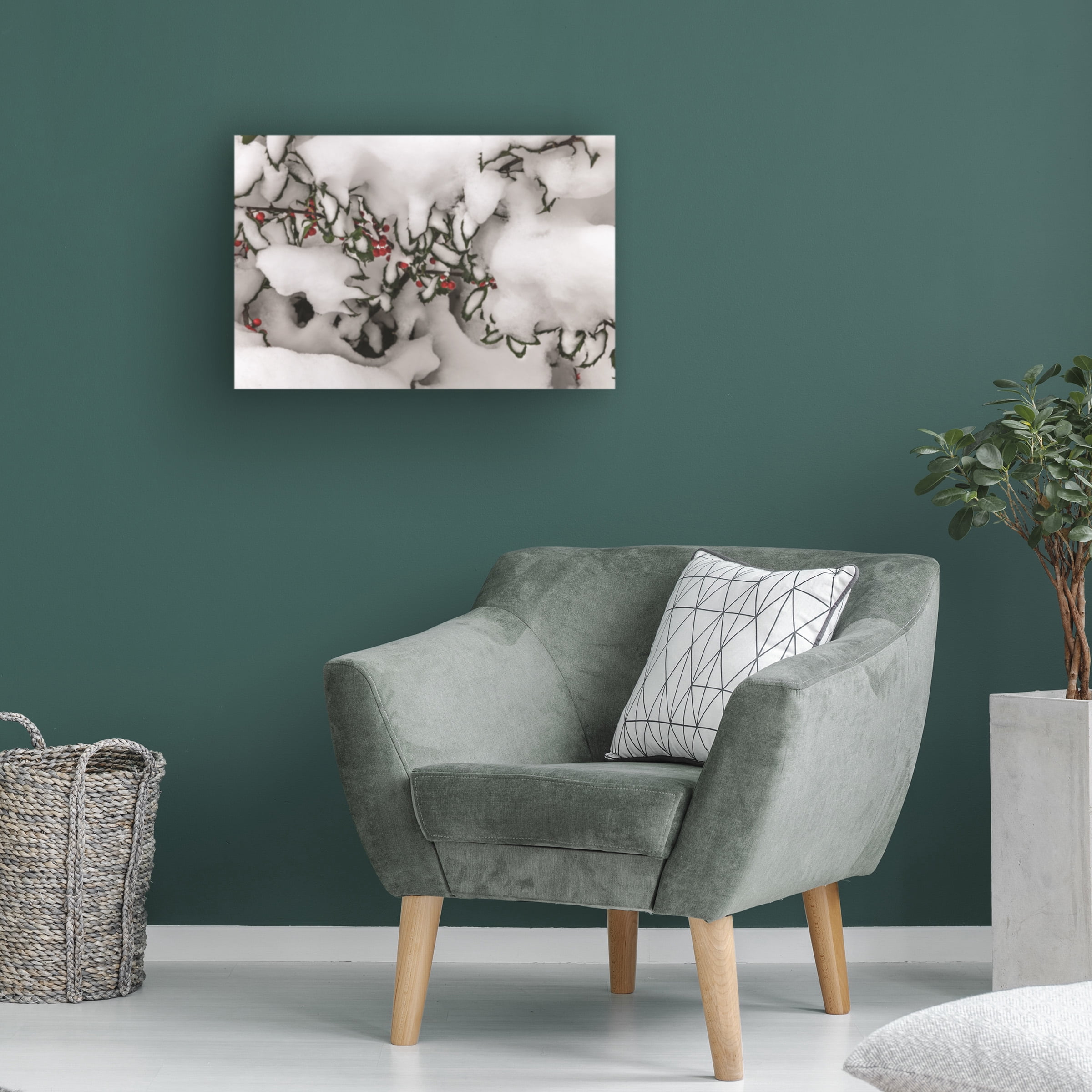 Kurt Shaffer Photographs 'Snow Holly' Canvas Art