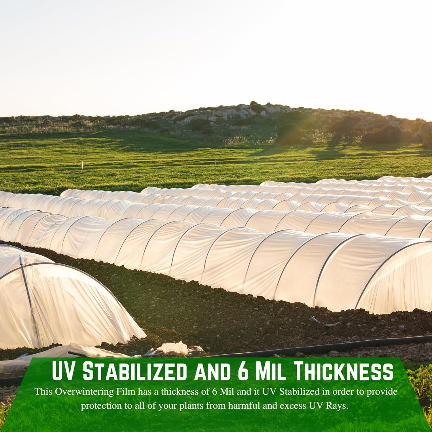 Farm Plastic Supply - String Reinforced 6 Mil White Plastic Sheeting - Overwintering Film, 6 Mil White Plastic Film, Greenhouse Plastic, Overwintering Plastic, Durable Plastic Sheeting (6' x 25')