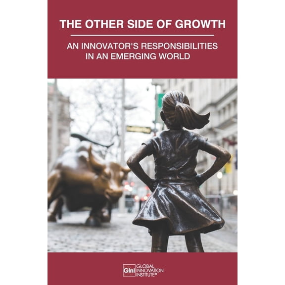 The Other Side of Growth: An Innovator's Responsibilities in an Emerging World, (Paperback)