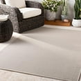 thumbnail image 2 of Surya Breeze Polypropylene 2' X 3' Rectangle Area Rugs BRZ2308-23, 2 of 7