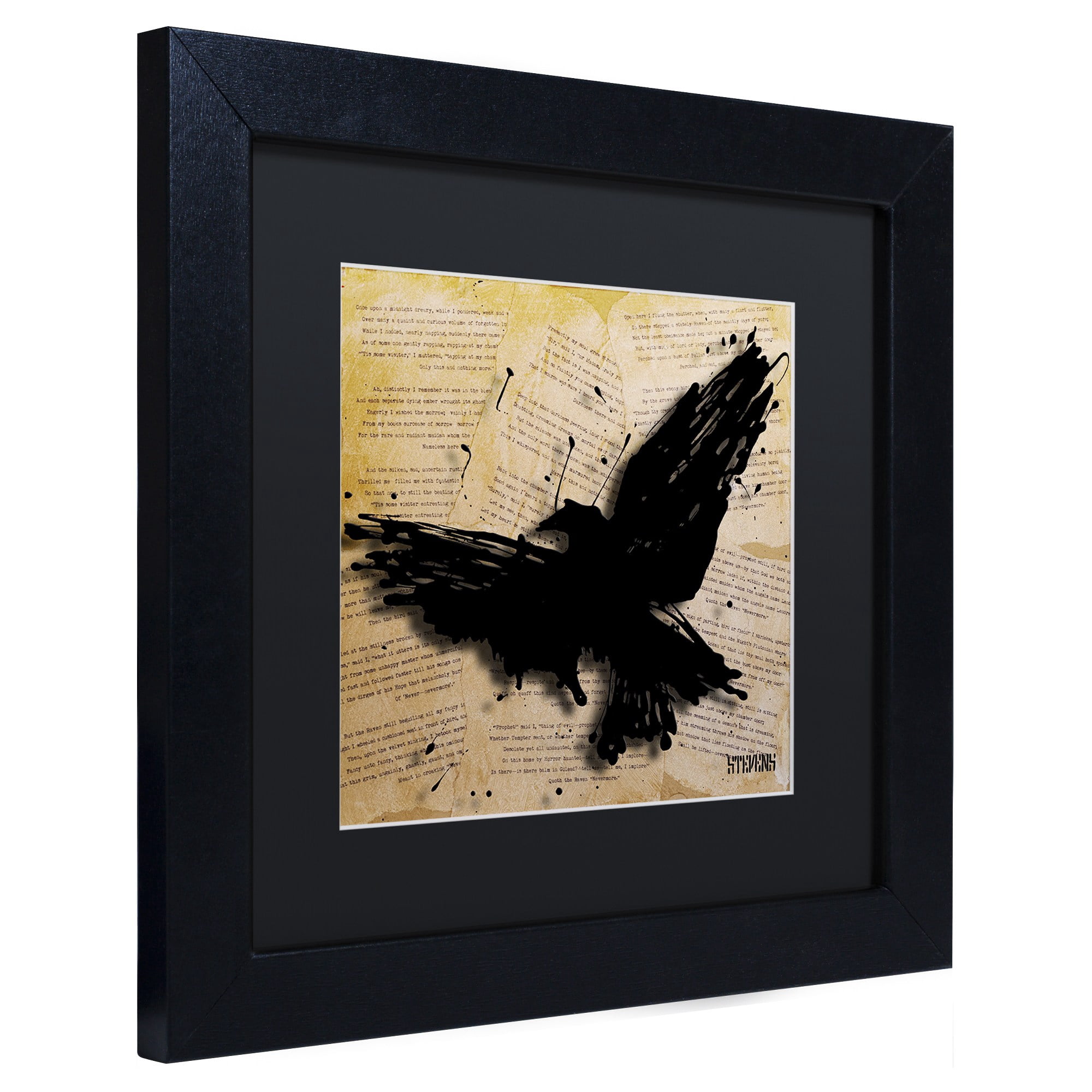 Trademark Fine Art "The Raven 2" Canvas Art by Roderick Stevens, Black Matte, Black Frame