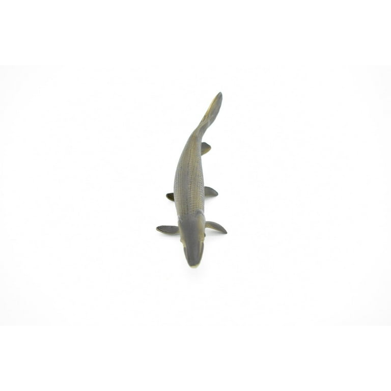 Alligator gar outlet toy