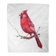 KDAGR Throw Blanket 58x80 Inches Red Cardinal Sitting on Twig Berry in Beak Watercolor Christmas Warm Flannel Soft Blanket for Couch Sofa Bed