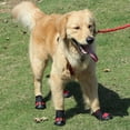 thumbnail image 1 of 4 Uds. De zapatos para perros grandes, impermeables, antideslizantes, calcetines, botines (5 rojos) Tmvgtek Para estrenar, 1 of 7