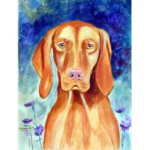 Carolines Treasures 7230CHF Drapeau en Toile Taille Maison de 28 x 40 Po