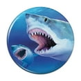 thumbnail image 1 of Great White Sharks Ocean Pair Scuba Diving Kitchen Refrigerator Locker Button Magnet, 1 of 6