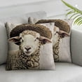 thumbnail image 3 of ARISTURING  set of 2 Throw Pillow Covers Watercolor Cute Farm Animal Sheep Wear Leopard Print Hat Design Cushion Case Farmhouse Decorative Square Pillowcase  ) 20x20in, 3 of 7