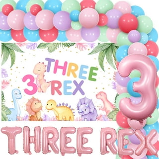 105pcs Three Rex Birthday Party Decorations Boy Dinosaur 3rd Birthday Party  D