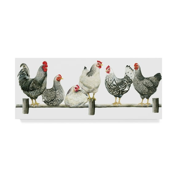 Janet Pidoux 'Hens, White Background' Canvas Art