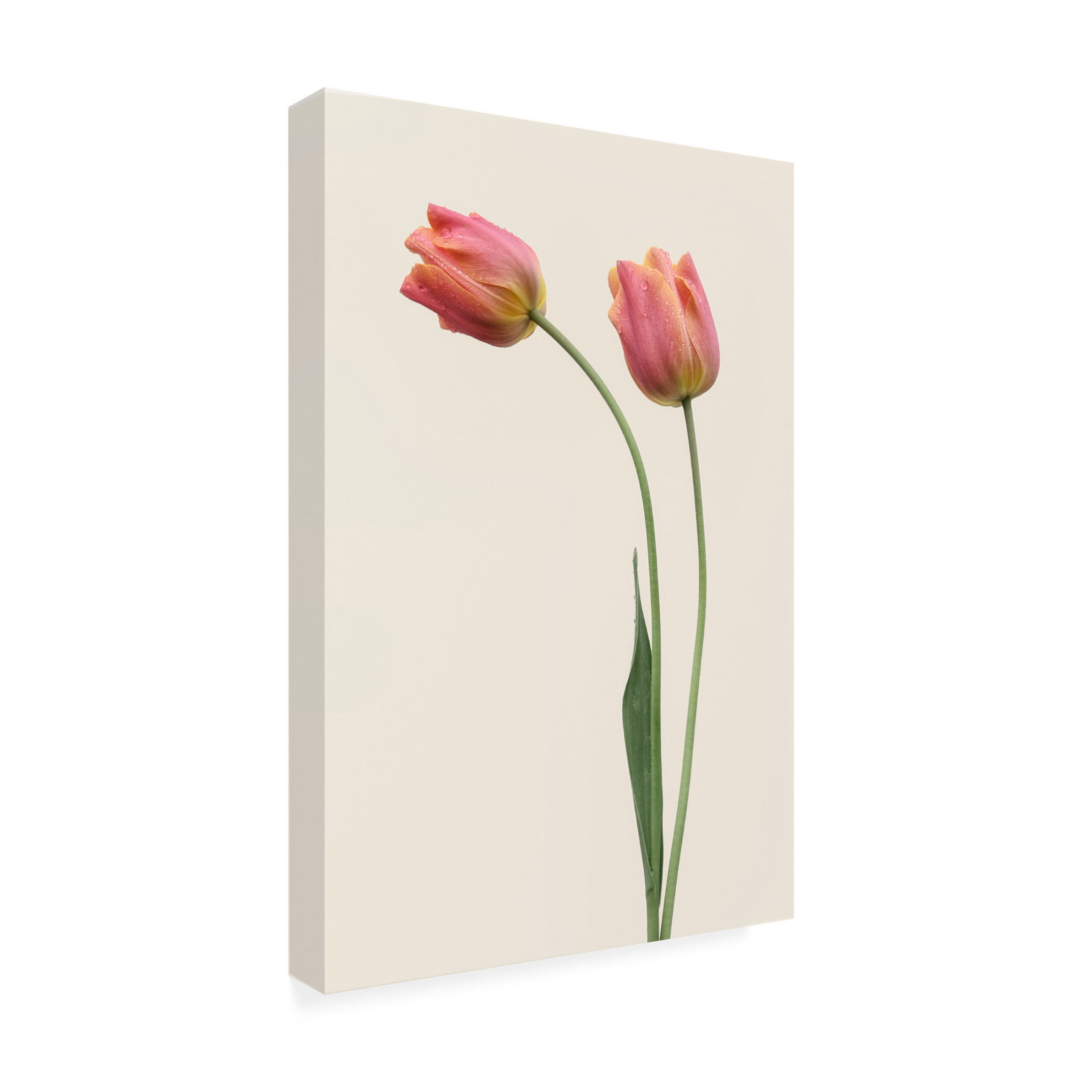 Trademark Fine Art Lotte Gronkjar  Duo Canvas Wall Art