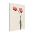 thumbnail image 4 of Trademark Fine Art Lotte Gronkjar  Duo Canvas Wall Art, 4 of 4