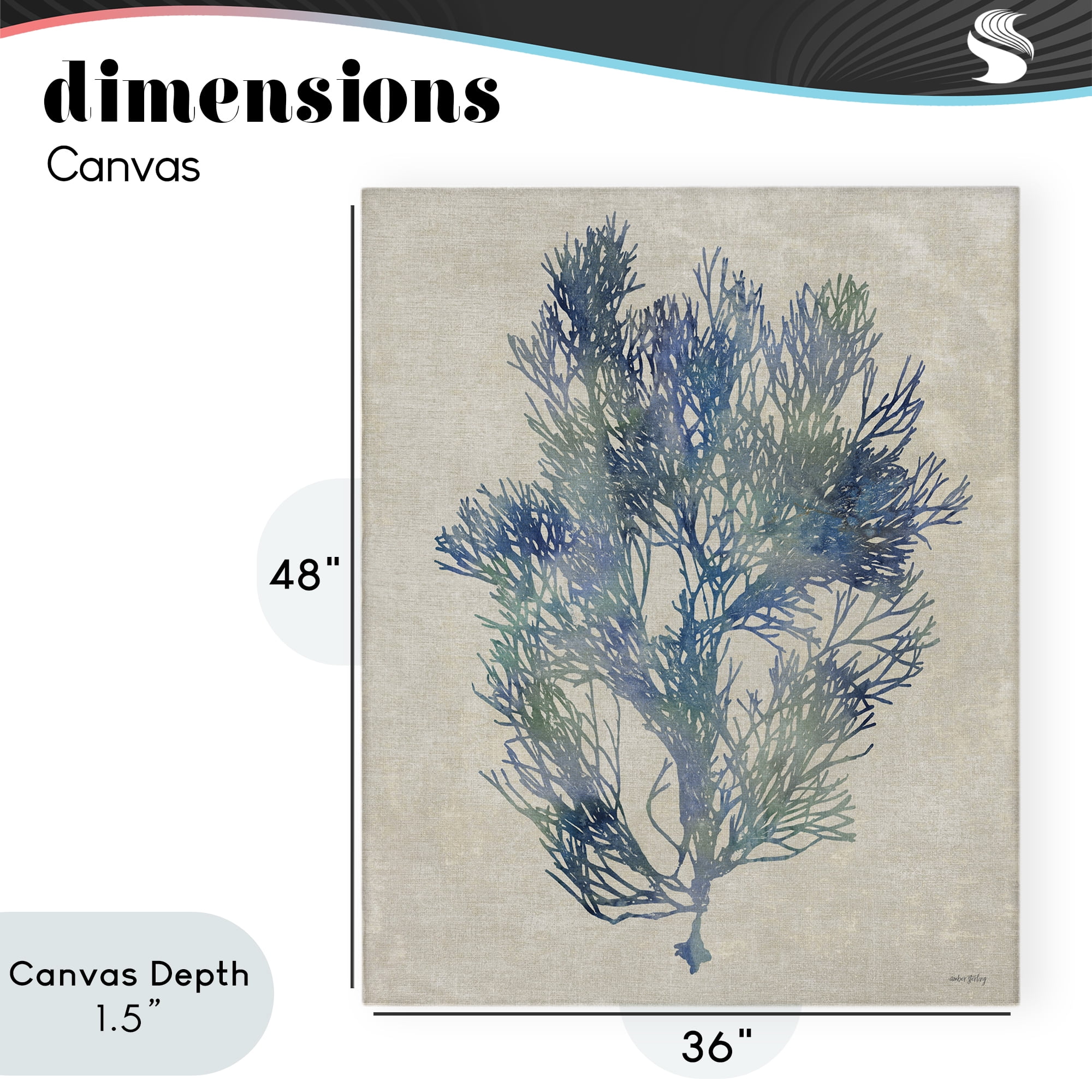 Stupell Industries Misty Blue Coral Study Canvas Wall Art, design by Amber Sterling