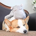 thumbnail image 2 of Bonito juguete de latido del corazón para perros, juguete de peluche resistente a las mordeduras para entrenamiento conductual Hugtrwg Para estrenar, 2 of 9