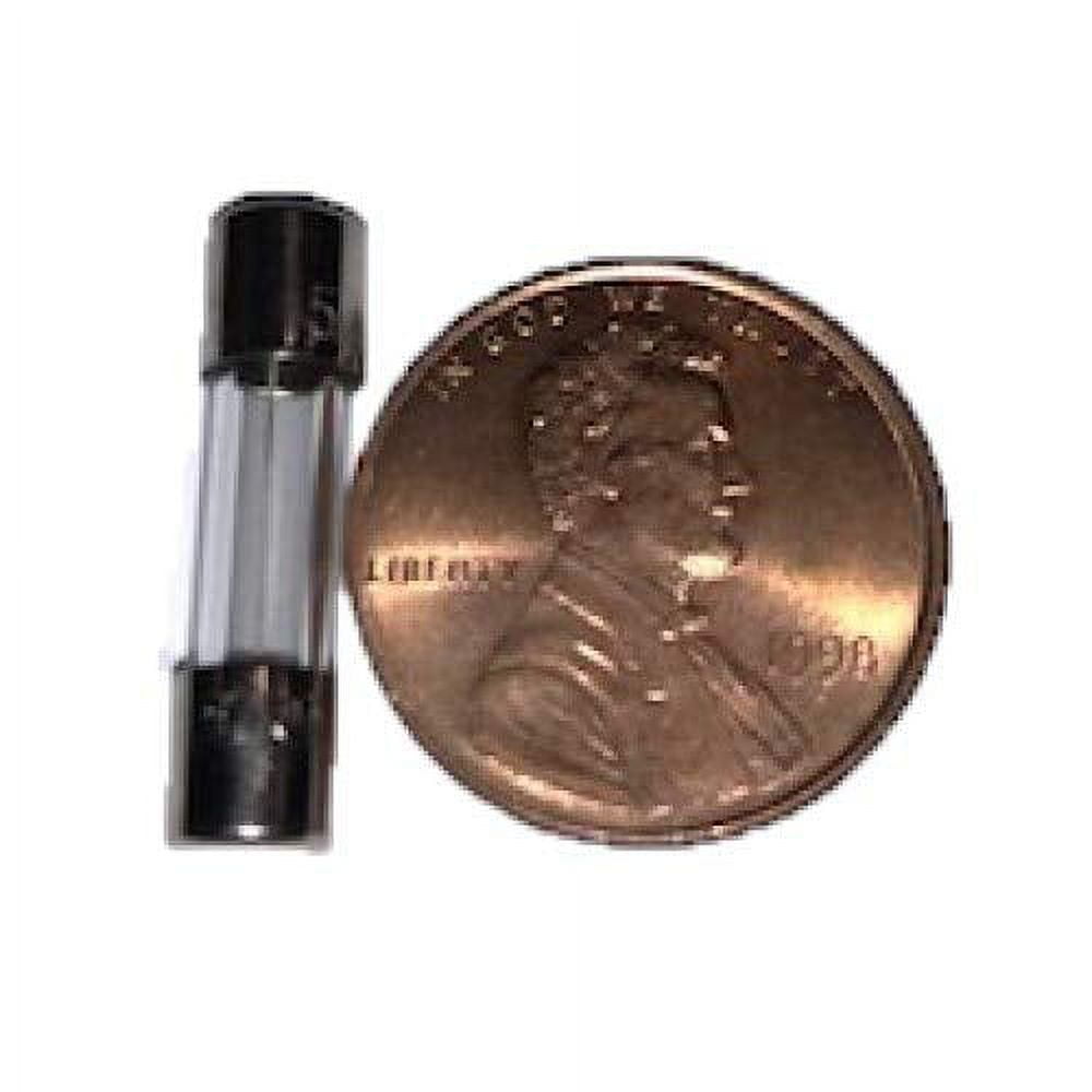 (6 Pack) 5 amp Fuse / 125v Fuse 5a max, Fast Blow, 0.2 x 0.78 Inch / 5 x 20 mm, Little Glass Fuses for Outdoor String Lights, Christmas Lights, Box Fans and More TC-67