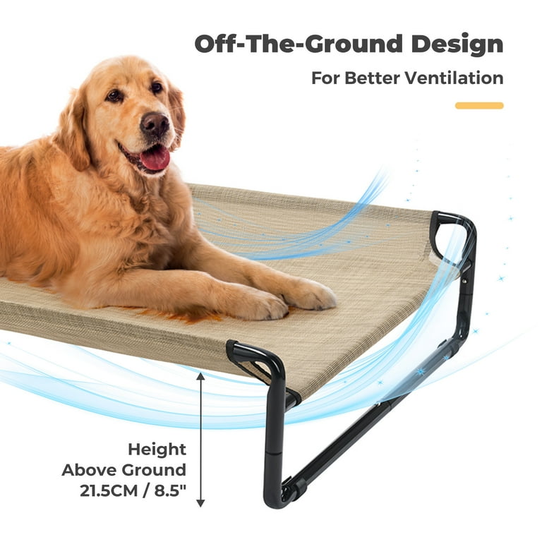 Bed height top dog bed