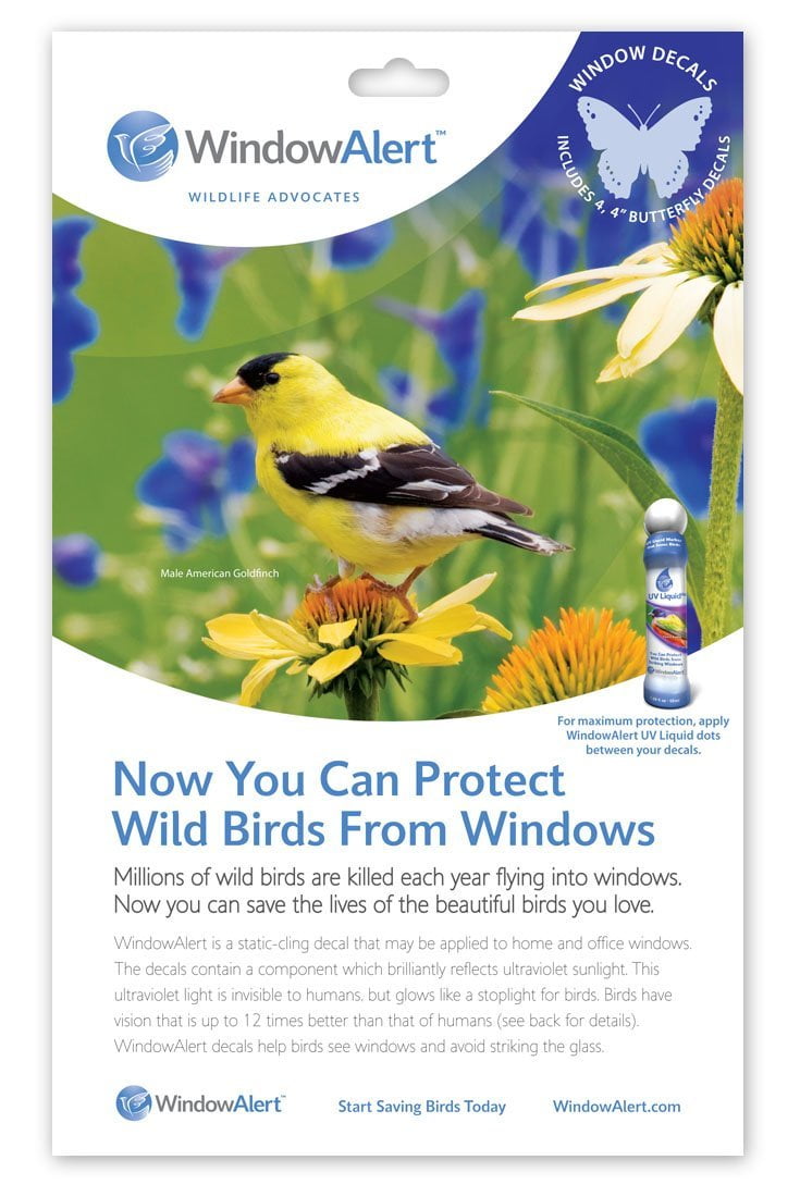 download lights out alert for birds download lights out alert for birds