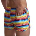 thumbnail image 5 of Pantalones de tres puntos transpirables con estampado de arcoíris para hombre, pantalones cortos de playa, pantalones cortos deportivos, pantalones elásticos con cordones Pompotops oipoqjl40514, 5 of 5