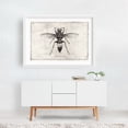 thumbnail image 2 of Vespa Tropica - Drawing White Framed Wall Art Print 20 x 30 inches, 2 of 3