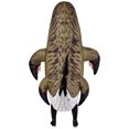 thumbnail image 3 of Jurassic World Rebirth Mosasaurus Inflatable Costume for Adults by Rubies, Unisex, 3 of 6