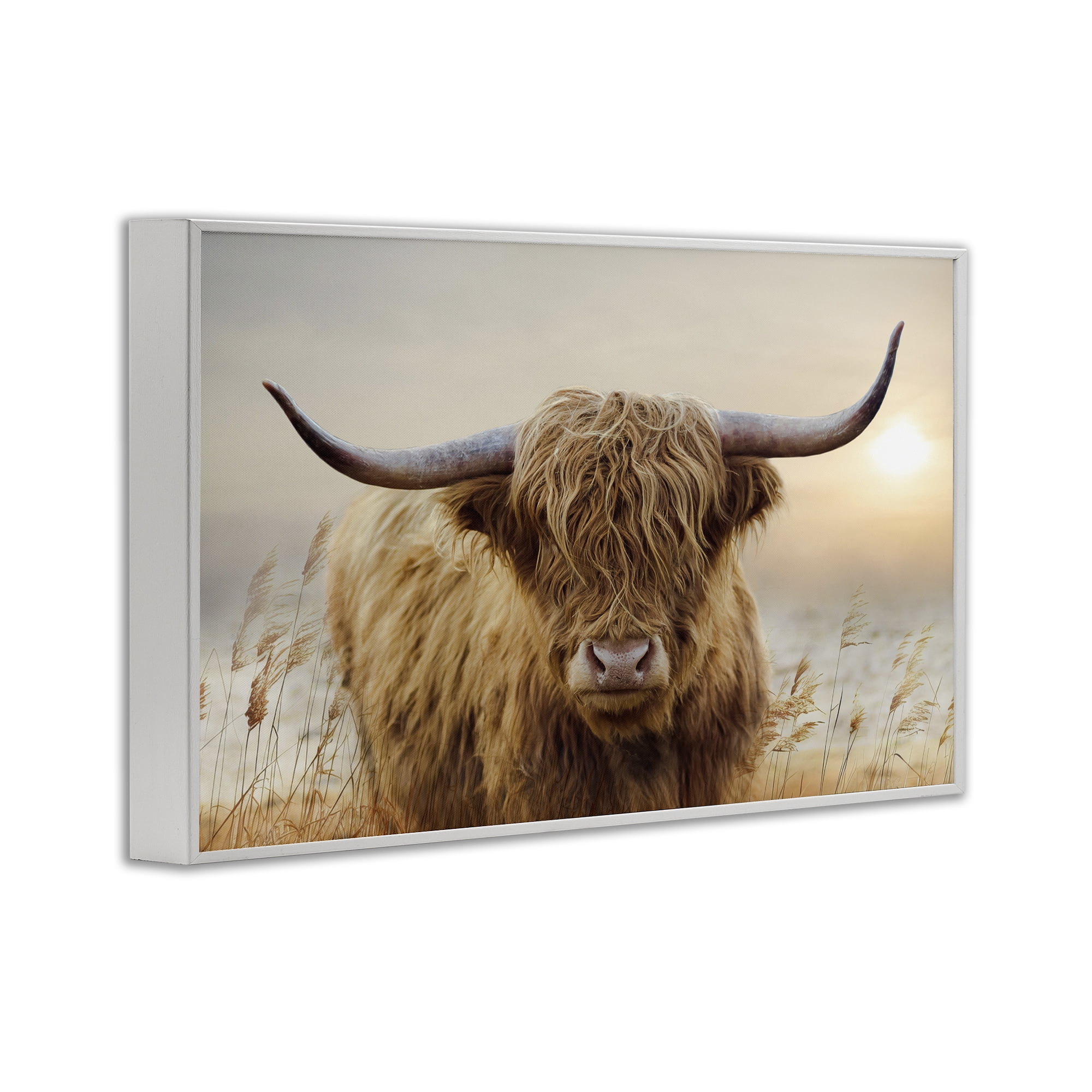 Stupell Industries Highland Cow & Warm Sunset White Framed Giclee Art, design by CAD Designs