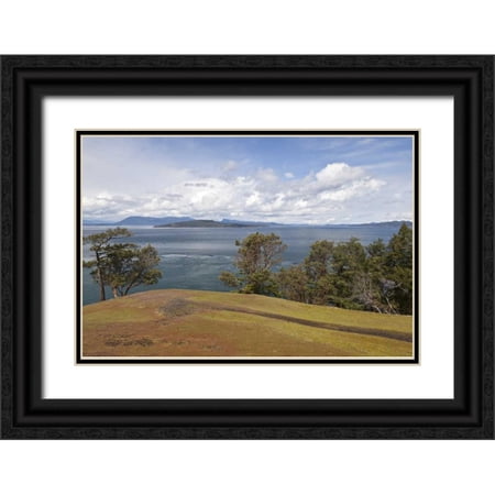 Paulson, Don 32x23 Black Ornate Wood Framed with Double Matting Museum Art Print Titled - WA, San Juans Scenic overlook on Stuart Island